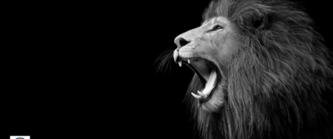 Courage